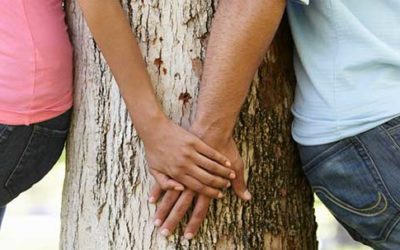 Good Tree, Bad Tree: Tips on Evaluating Relationships