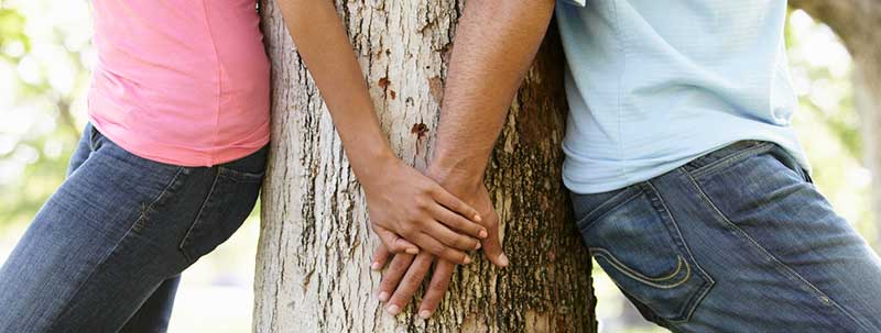Good Tree, Bad Tree: Tips on Evaluating Relationships