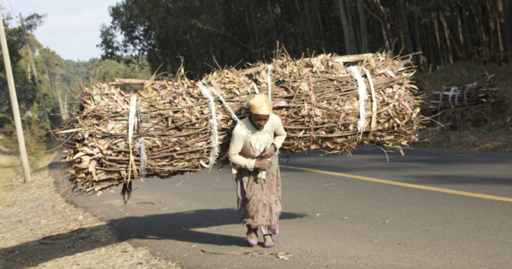 Generations of women have carried wood from Entoto Mountain to fuel the stoves of Addis Ababa, Ethiopia. Photo by Christopher Lett/Mongabay.