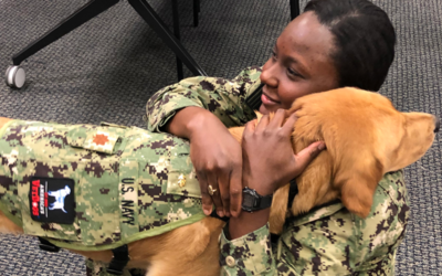 Sit, Heal: Dog Teaches Military Med Students The Merits Of Service Animals