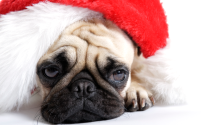 What psychiatrists have to say about holiday blues