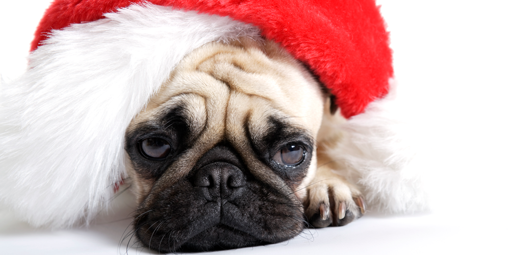 What psychiatrists have to say about holiday blues