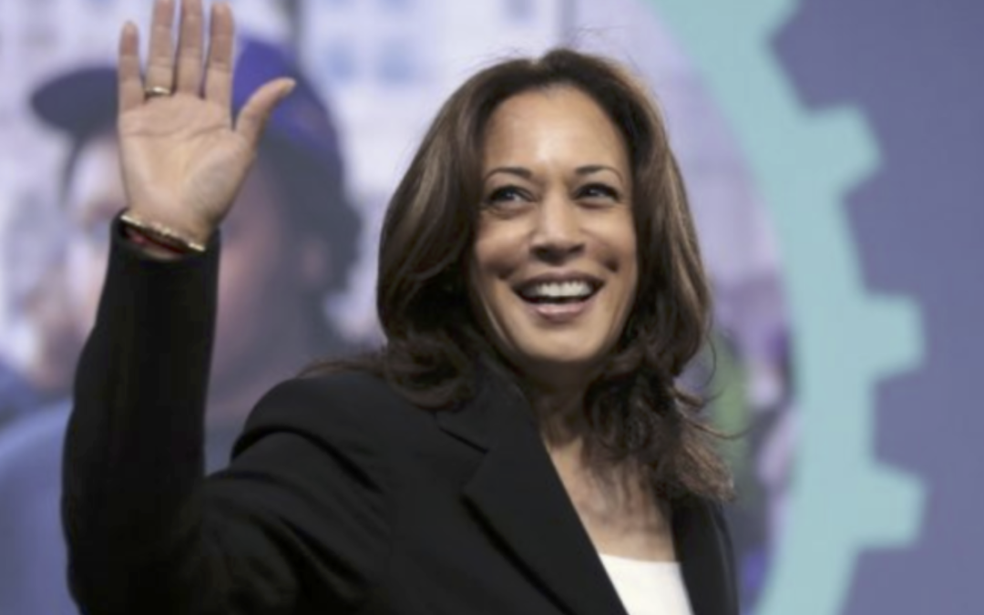 The historic selection of Kamala Harris as the Democrats’ VP candidate resonates in the Caribbean